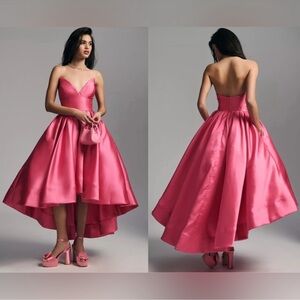 Hutch Sabrina Strapless Pink Dress
